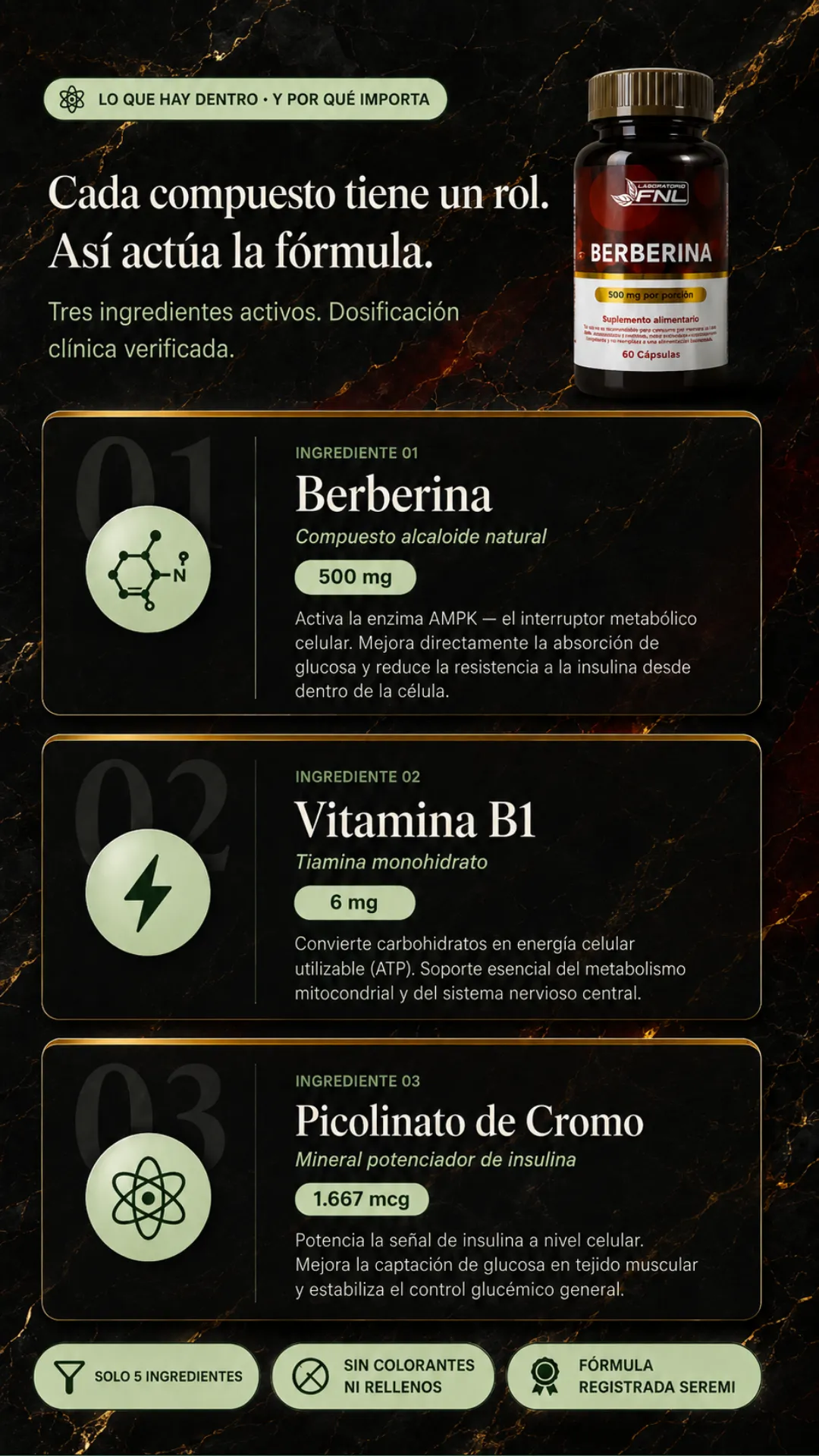 Ingredientes activos de la fórmula Berberina FNL