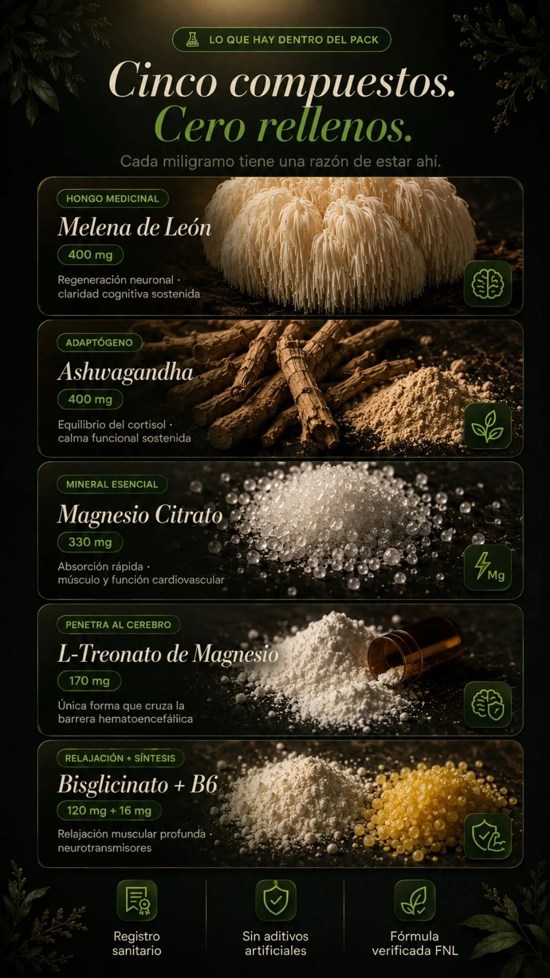 Cinco compuestos del pack: Melena de León, Ashwagandha y tres formas de magnesio.